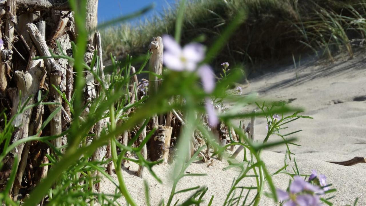 Darlowko By The Sea Exterior photo
